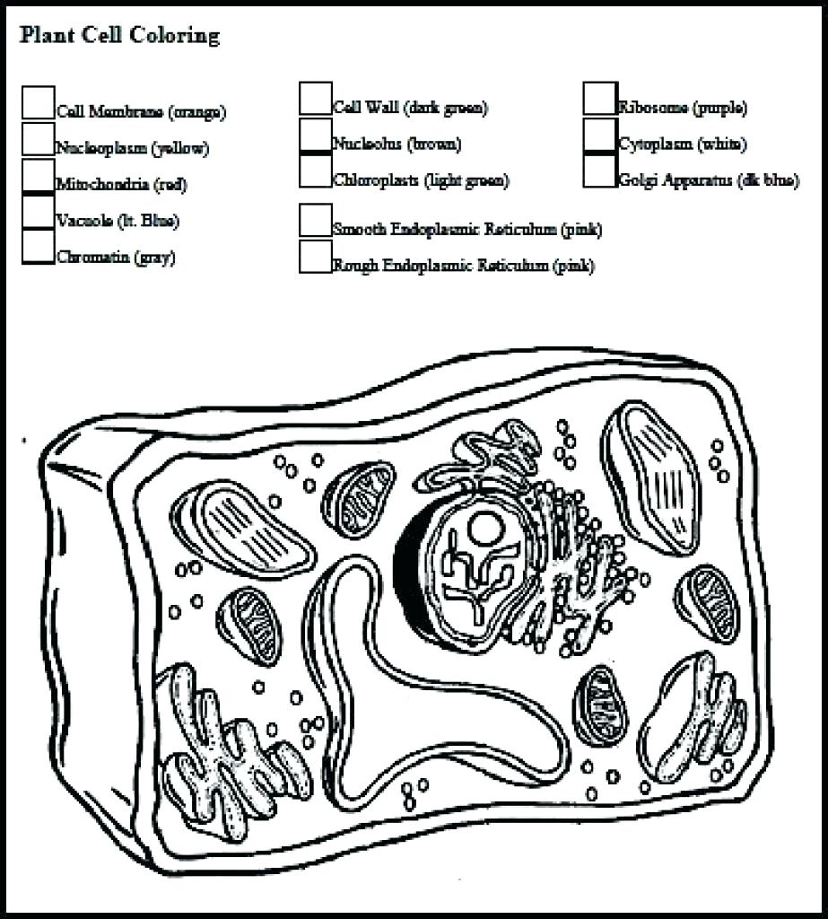 multiplication-worksheets-k12-printablemultiplication