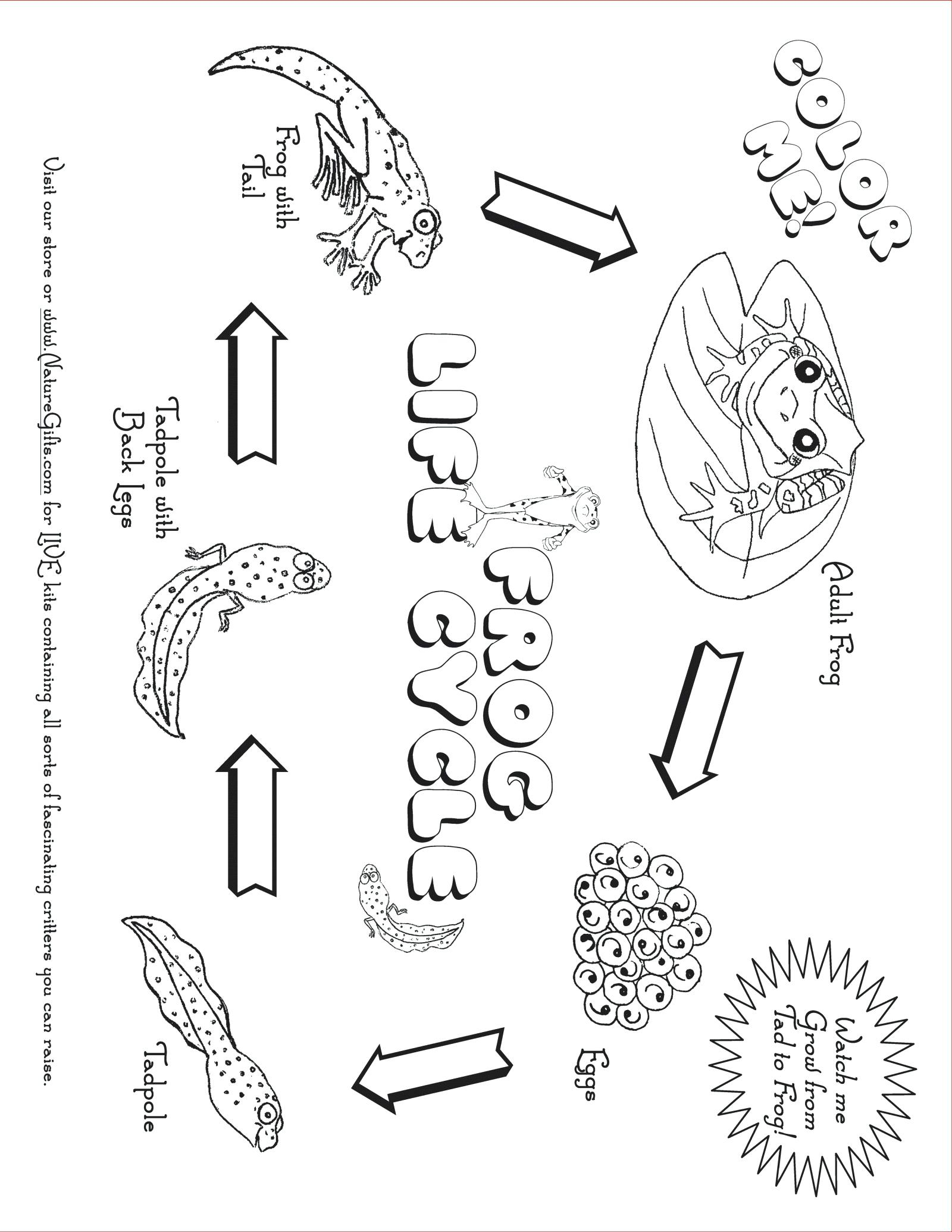 2Nd Grade Math Worksheets: Practice Test Math Grade Number in Printable Multiplication Practice Test