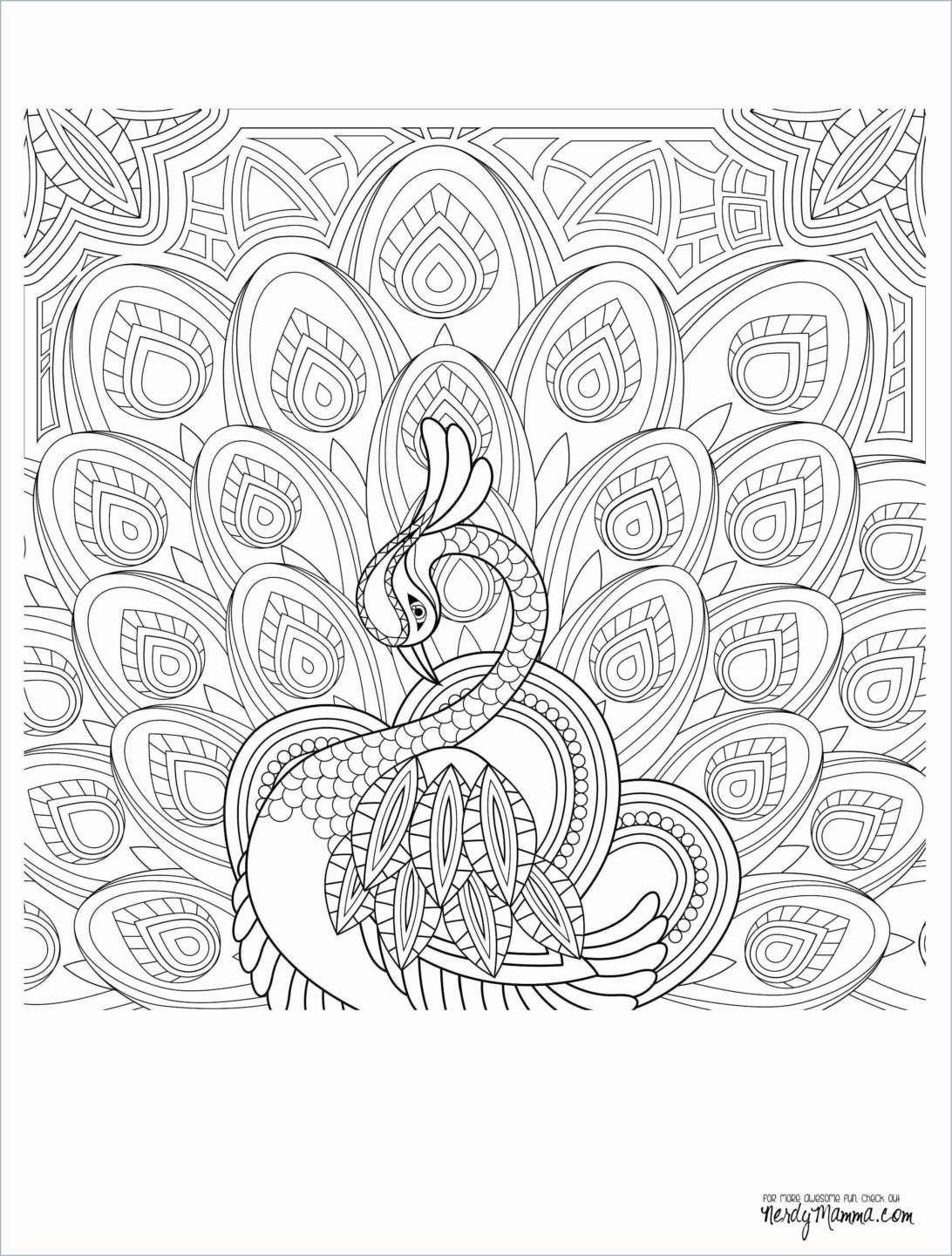 Coloring Pages : Kids Worksheets This Summer Math Packet throughout Printable Multiplication Packet