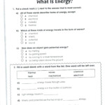Elegant Free Printable Worksheets For Grade 5 Science Inside Printable Multiplication Worksheets 5's