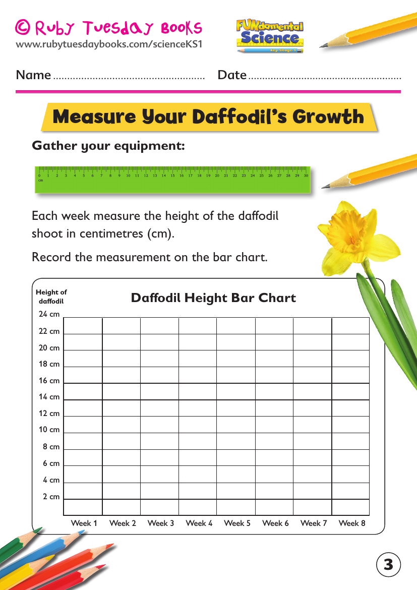 Ks1 Science: Plants - Grow A Daffodil Bulb inside Multiplication Worksheets Ks1 Tes