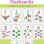 1 To 10 Flashcards | Number Flashcards, Flashcards
