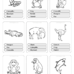 Printable Animals Multiple Choice Pdf Flashcards 05