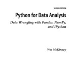Python For Data Analysis. Data Wrangling With Pandas, Numpy