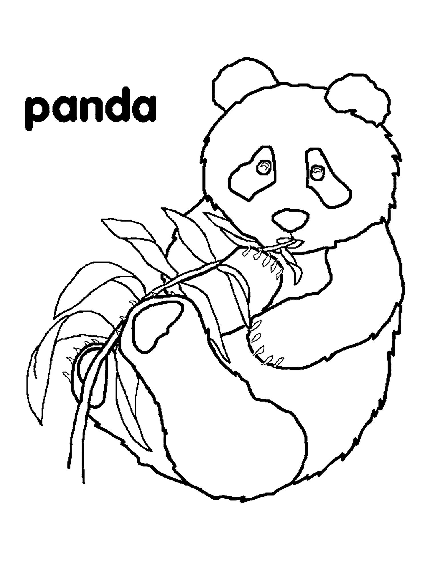 Worksheets : Pandas For Children Kids Coloring Printable