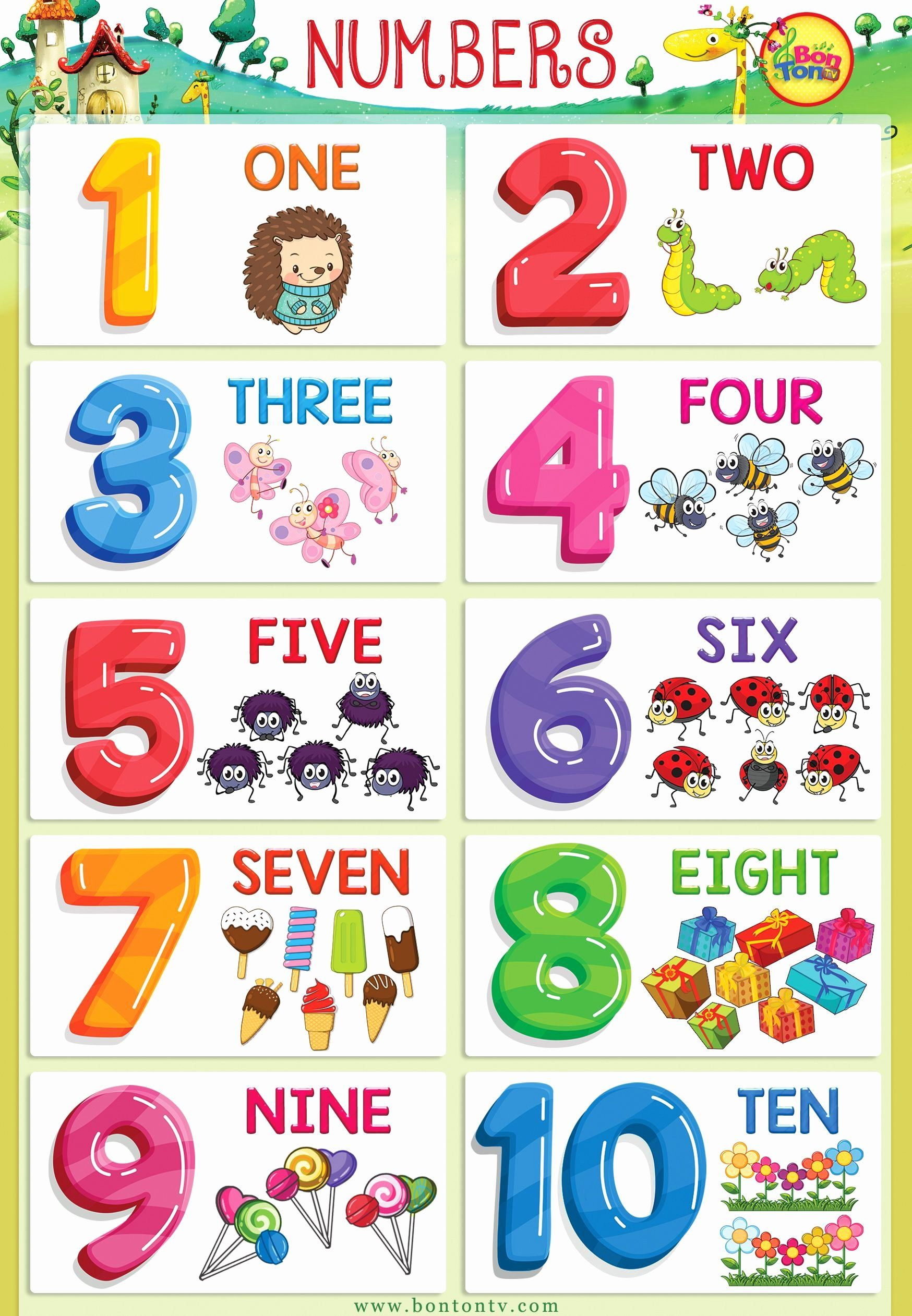 Multiplication Flash Cards Printable Printable Numbers 1-20