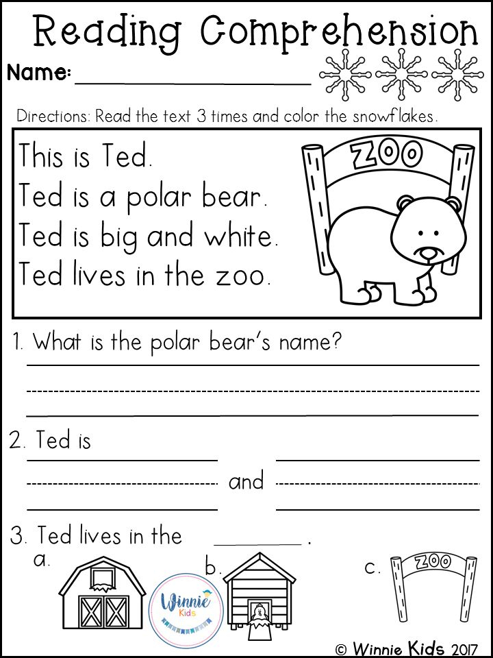 Kindergarten Reading Comprehension Passages Winter 