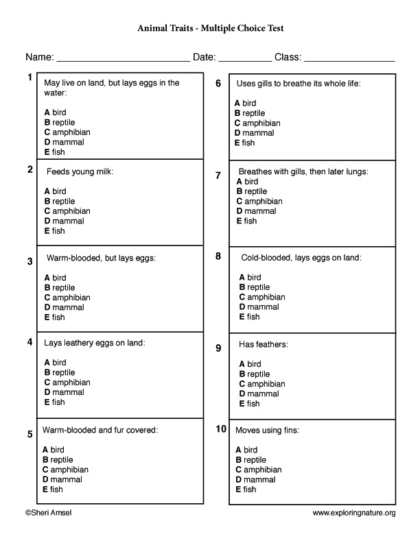 Animal Trivia Questions And Answers Printable That Are 