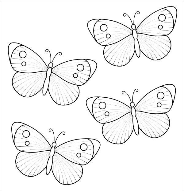 Butterfly Template 9 Free PDF Download Butterfly 