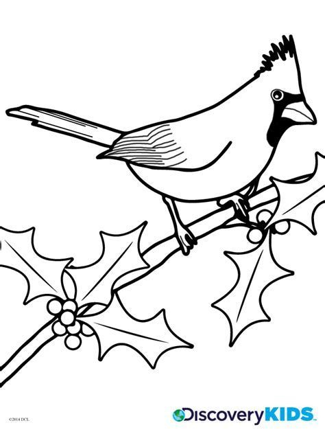 Image Result For Cardinal Bird Template Printable Bird 