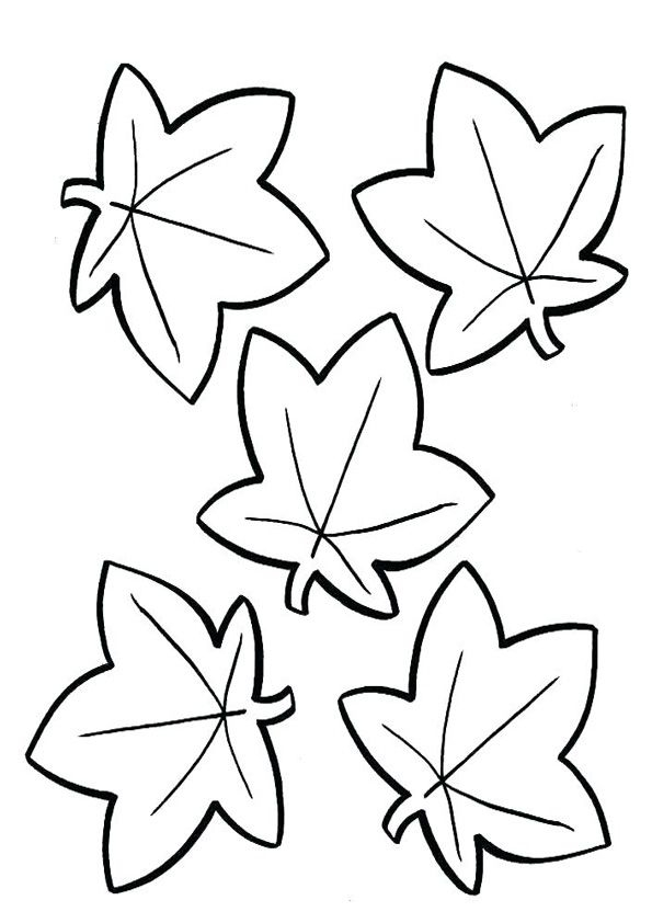 Multiple Leaf Coloring Pages For Kids Leaf Coloring Page 
